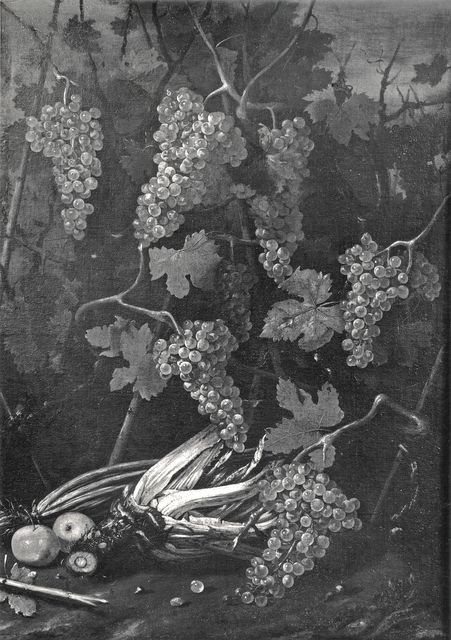 Anonimo — Cerquozzi Michelangelo (?) - sec. XVII - Natura morta con uva e ortaggi — insieme